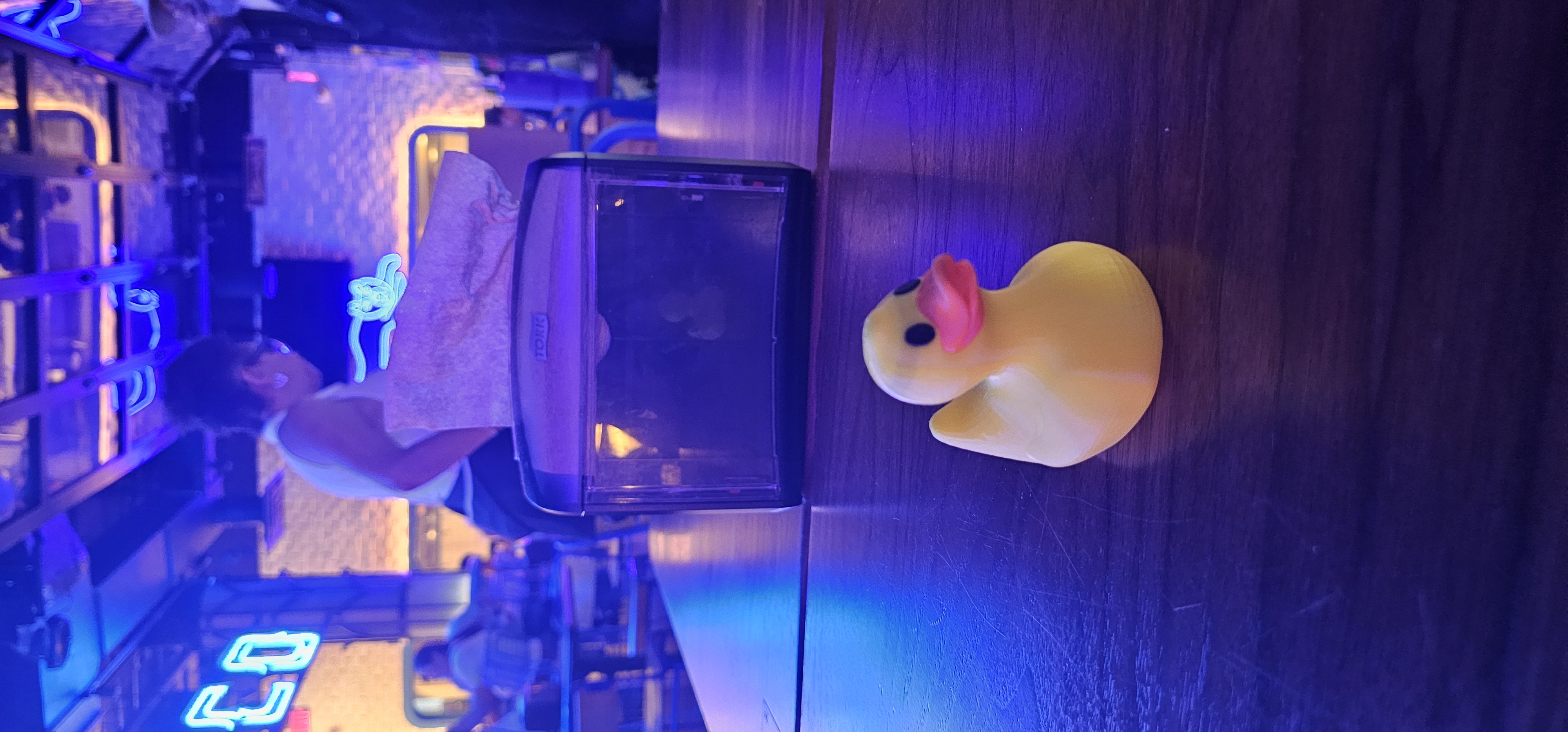 Duck 8BDCK in Miami, United States